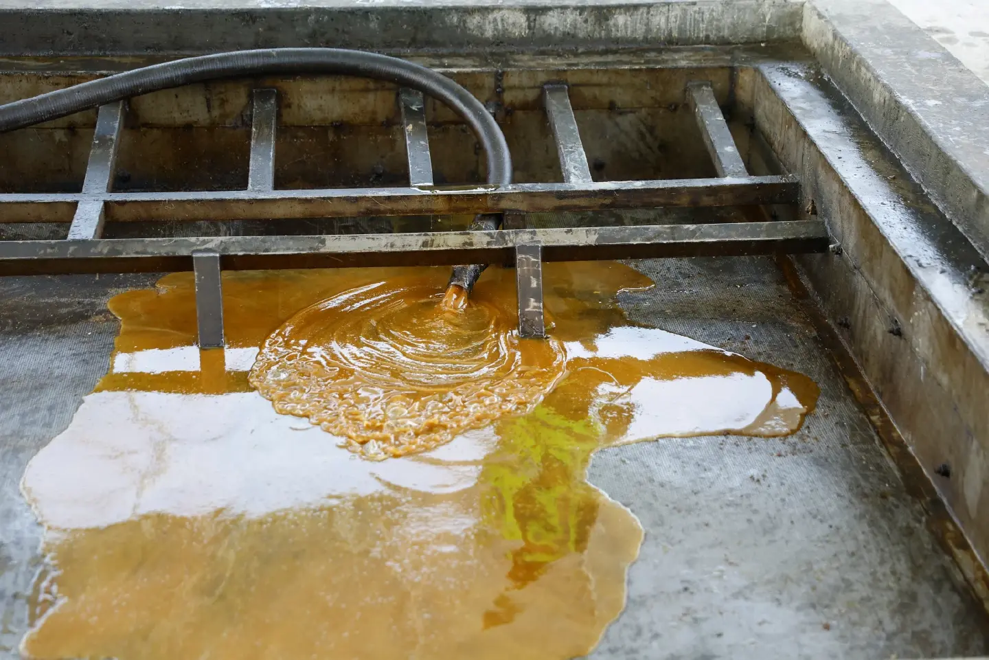 Inside a UAE plant, cooking oil turns into biofuel