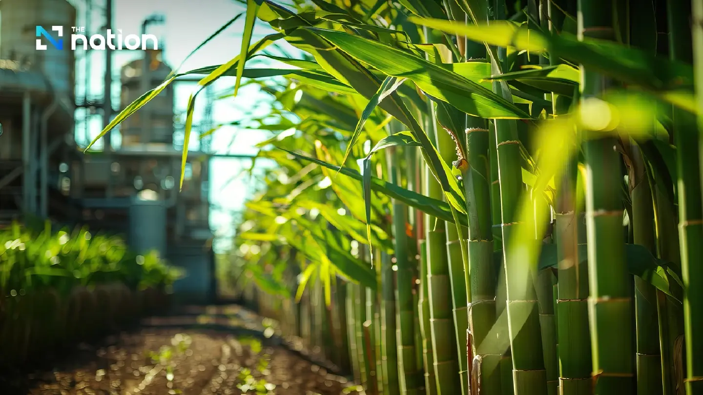 Thailand capable of industrial-grade ethanol production to cut import: FTI Thailand capable of industrial-grade ethanol production to cut import: FTI