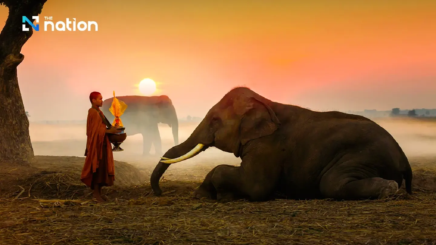 Agencies responsible for wild and domestic elephants creating plans