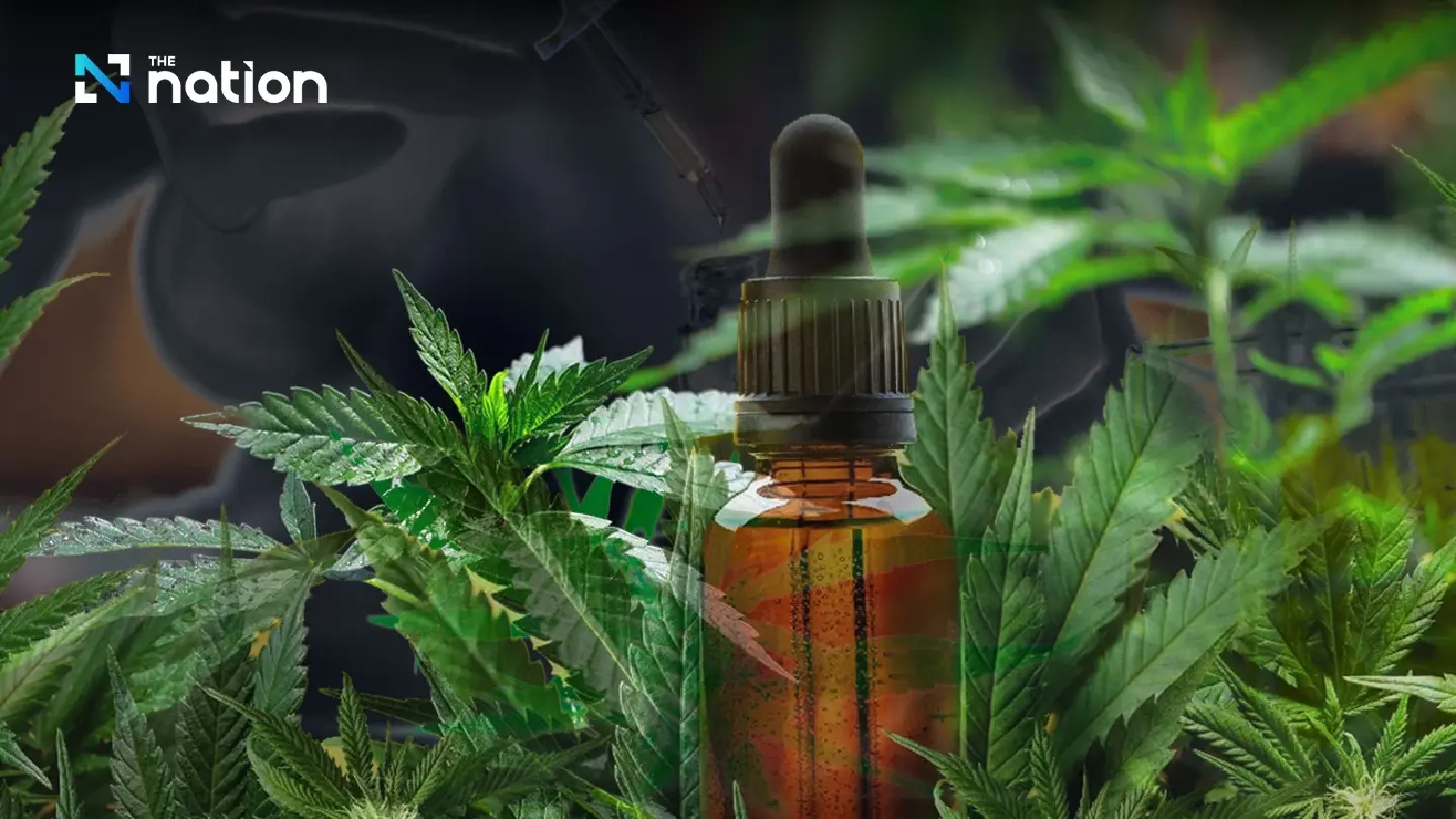 Three public hospitals trial use of marijuana oil to treat addicts