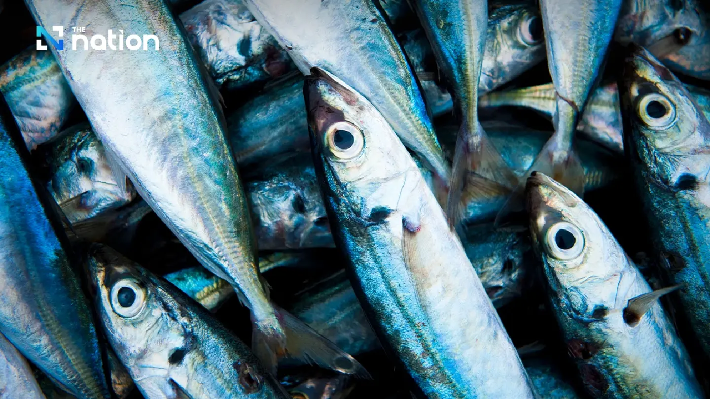 Fish farmers up in arms at proposed FTA with EFTA members