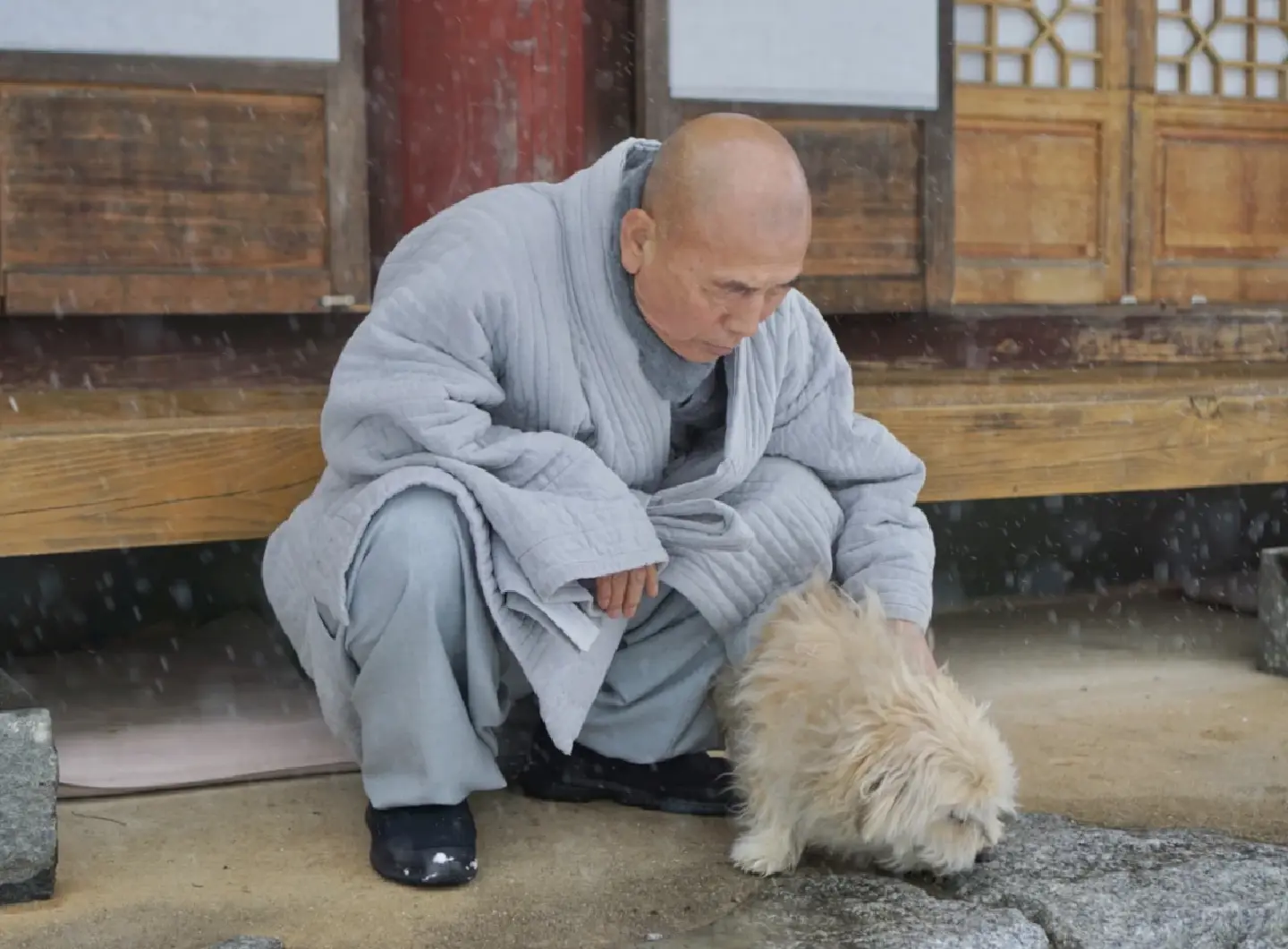 A South Korean buddhist temple where animal spirits find peace