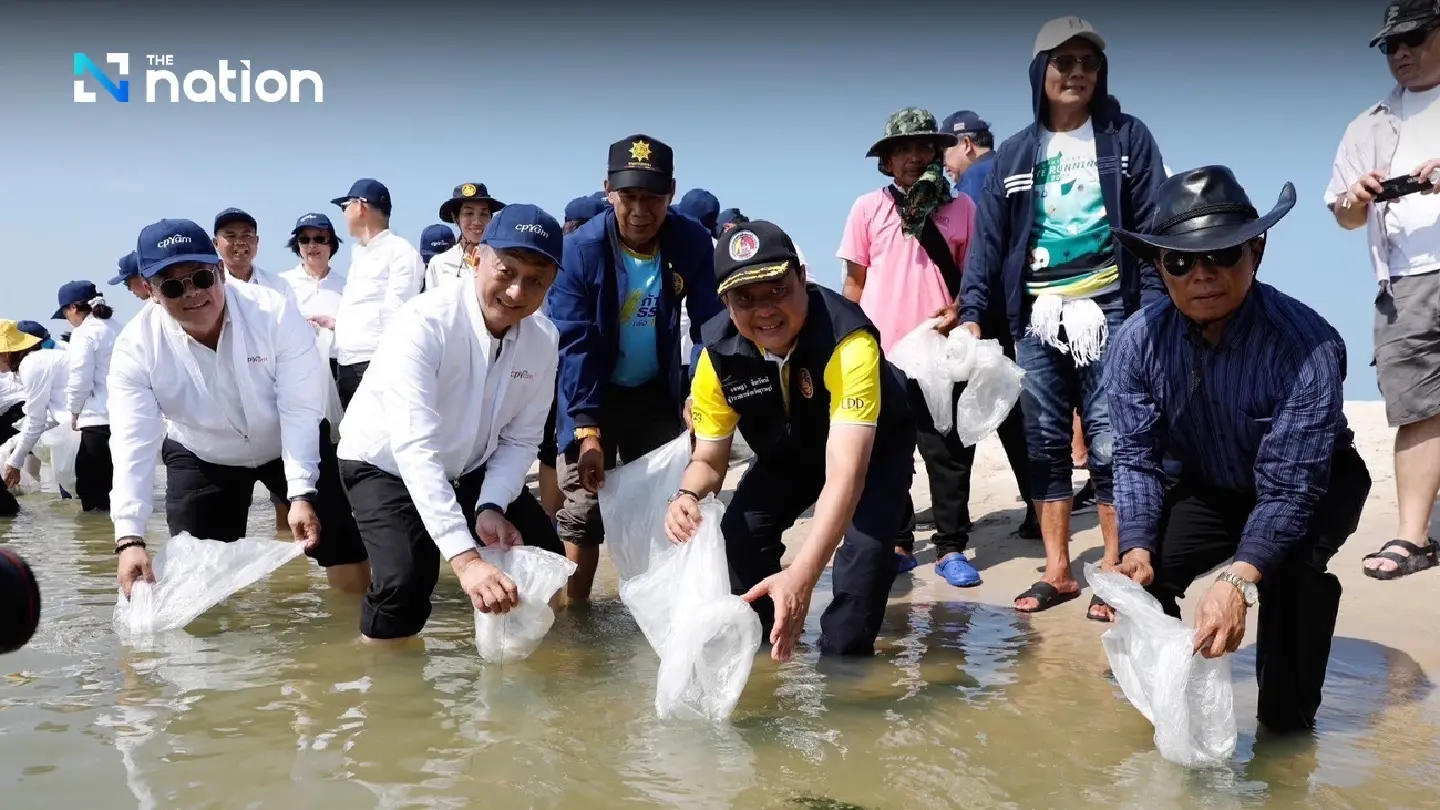 How the initiative to release blue crabs is helping preserve the marine ecosystem How the initiative to release blue crabs is helping preserve the marine ecosystem