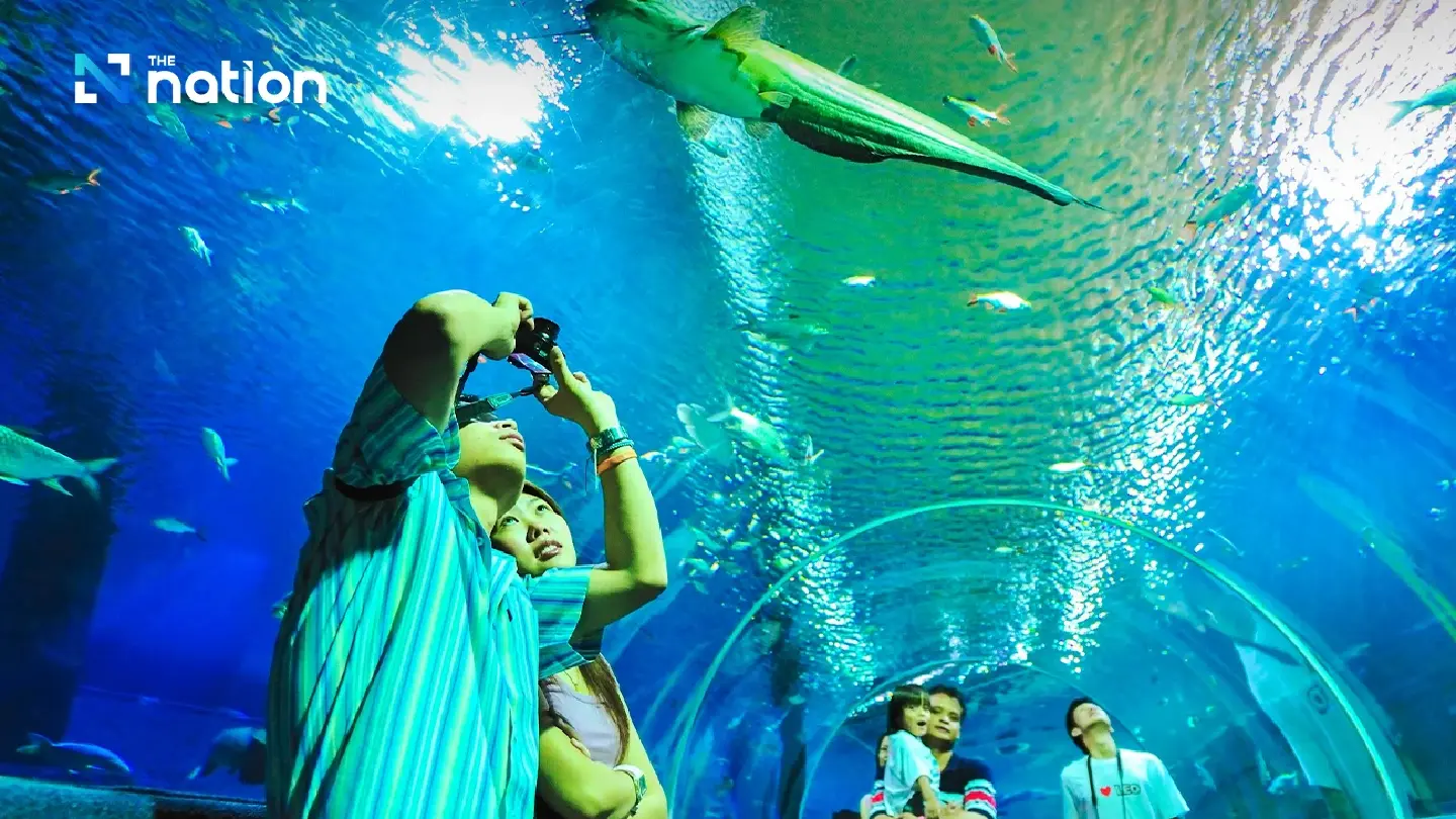 Sharks among the highlights at Chiang Mai’s renovated aquarium
