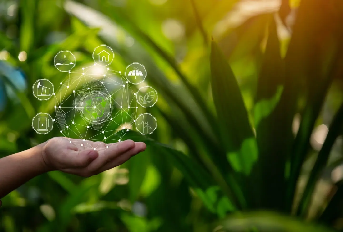 Five tech trends to watch for SMEs to succeed and scale in 2024