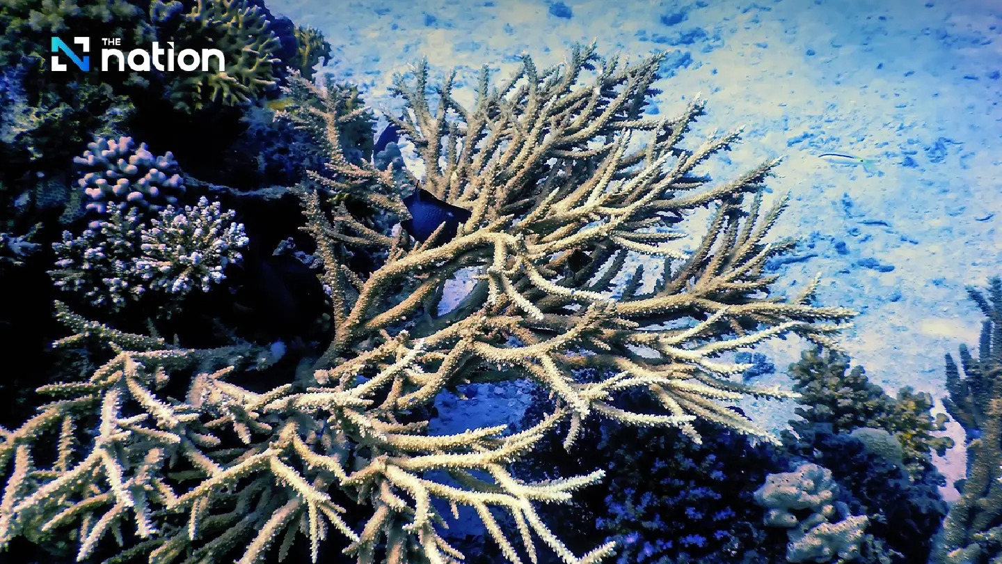 Ministry new launches initiative to combat coral bleaching in warming seas