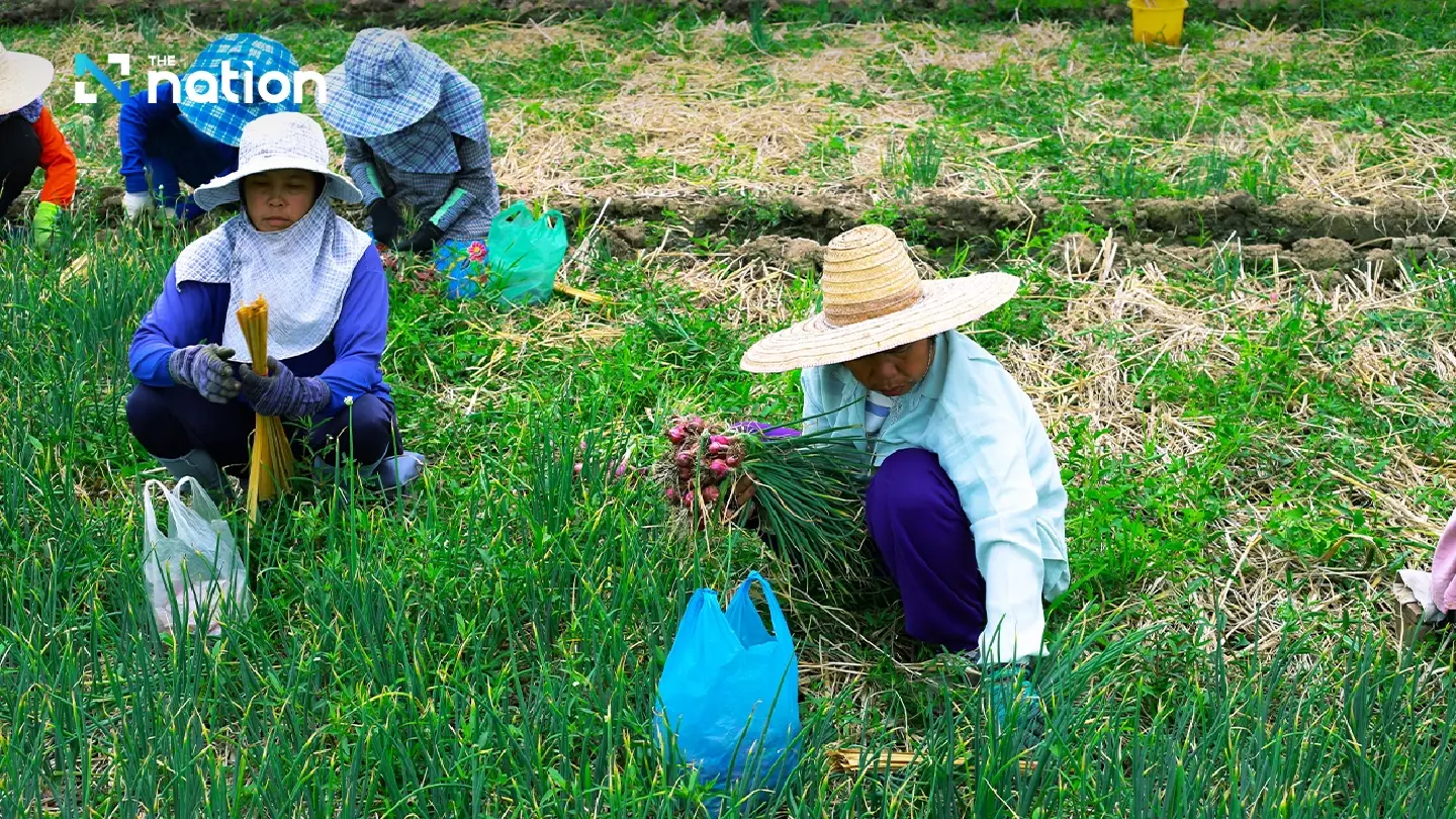 More than 1/3rd of Thailand’s 13.6 million 60-plus population still working
