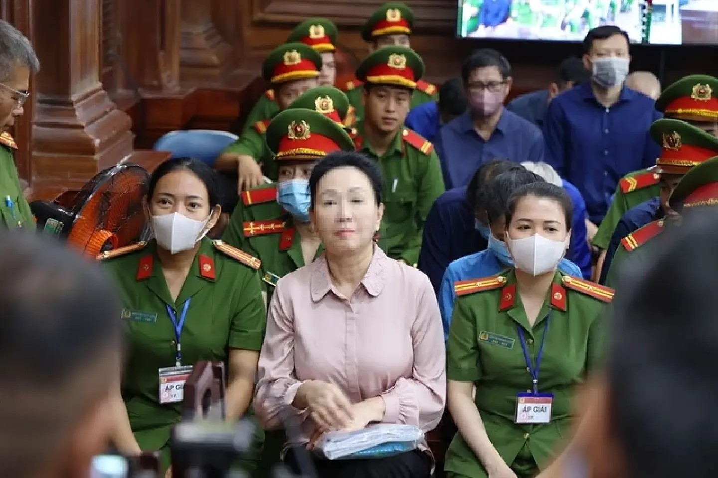Truong My Lan appeals against death sentence in bank fraud case