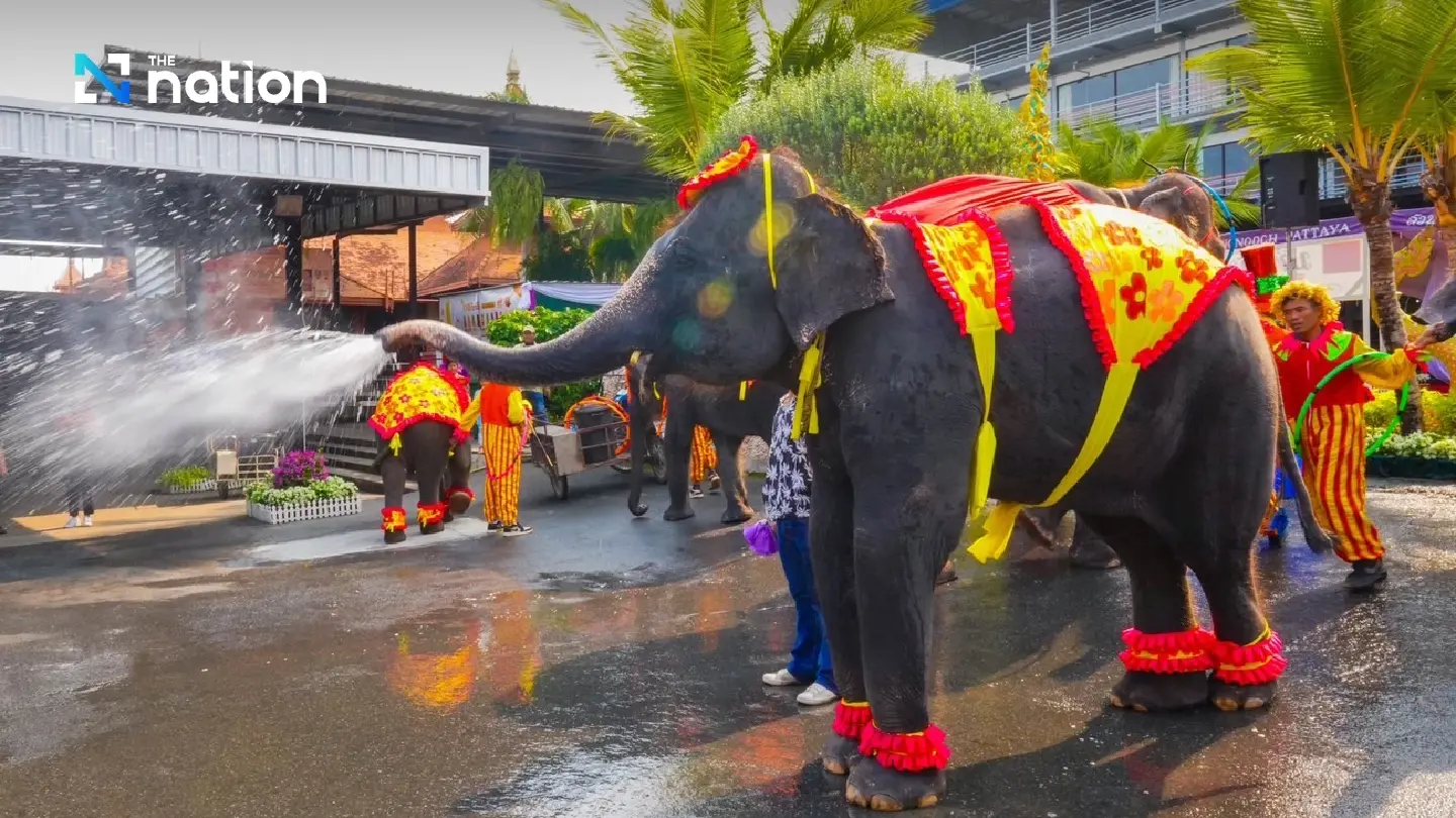 Elephants join Songkran festivity at Nong Nooch Tropical Garden Elephants join Songkran festivity at Nong Nooch Tropical Garden