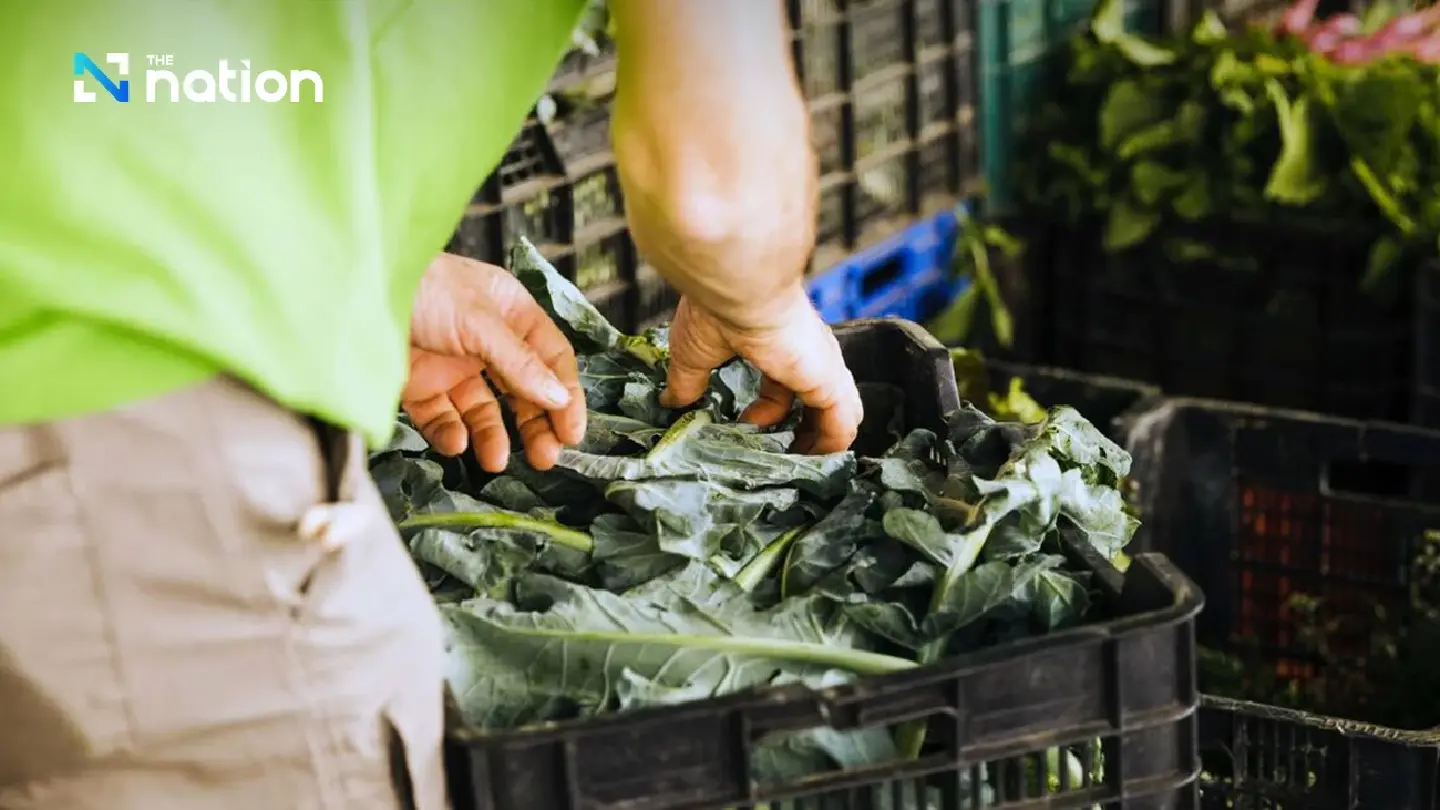 BMA cuts daily carbon footprint by 142 tonnes with food waste tactic BMA cuts daily carbon footprint by 142 tonnes with food waste tactic