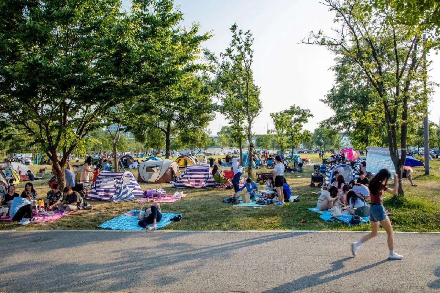Seoul says will cut power to porn festival planned on Han River