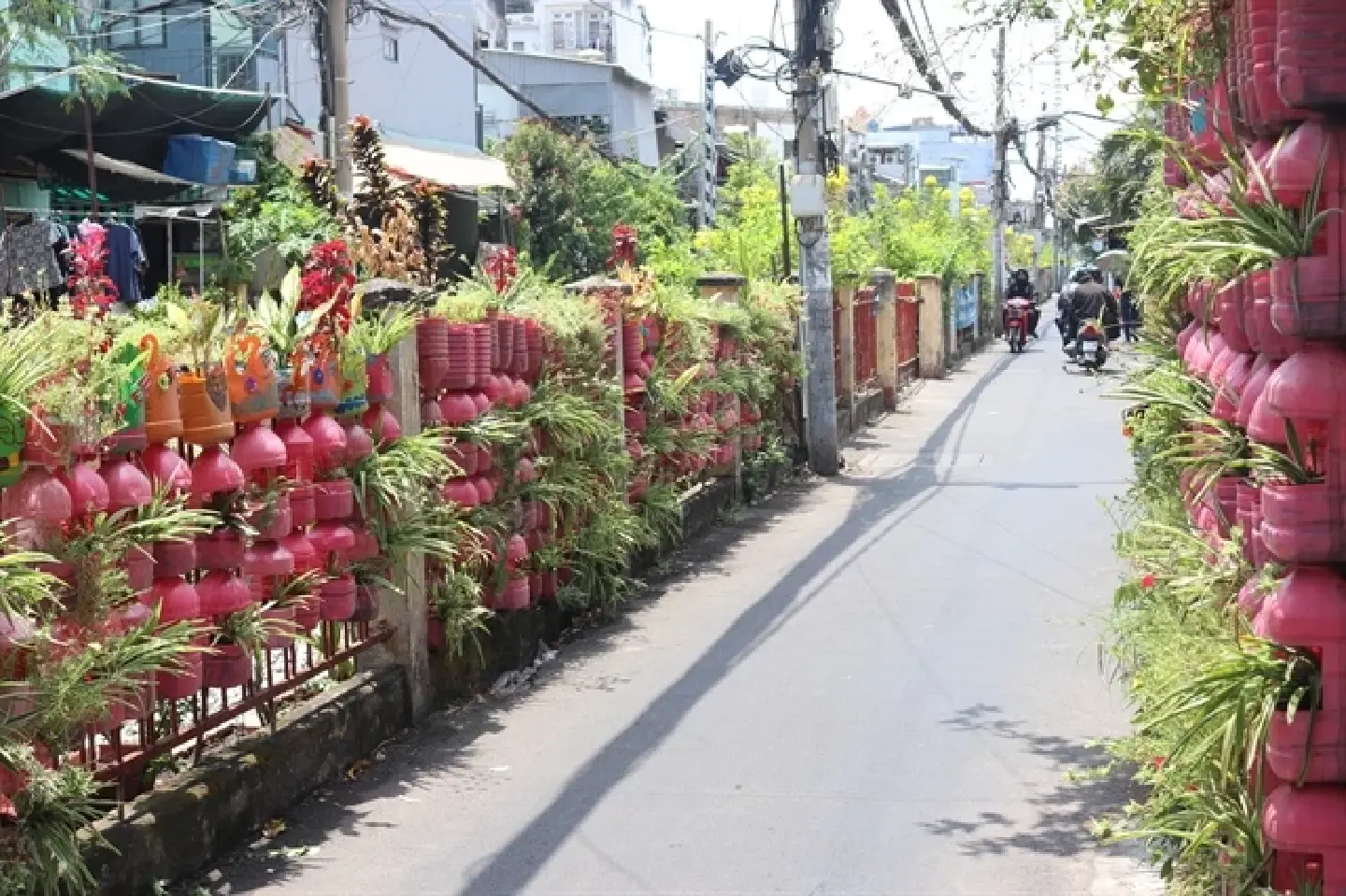 A Vietnamese man with pink passion