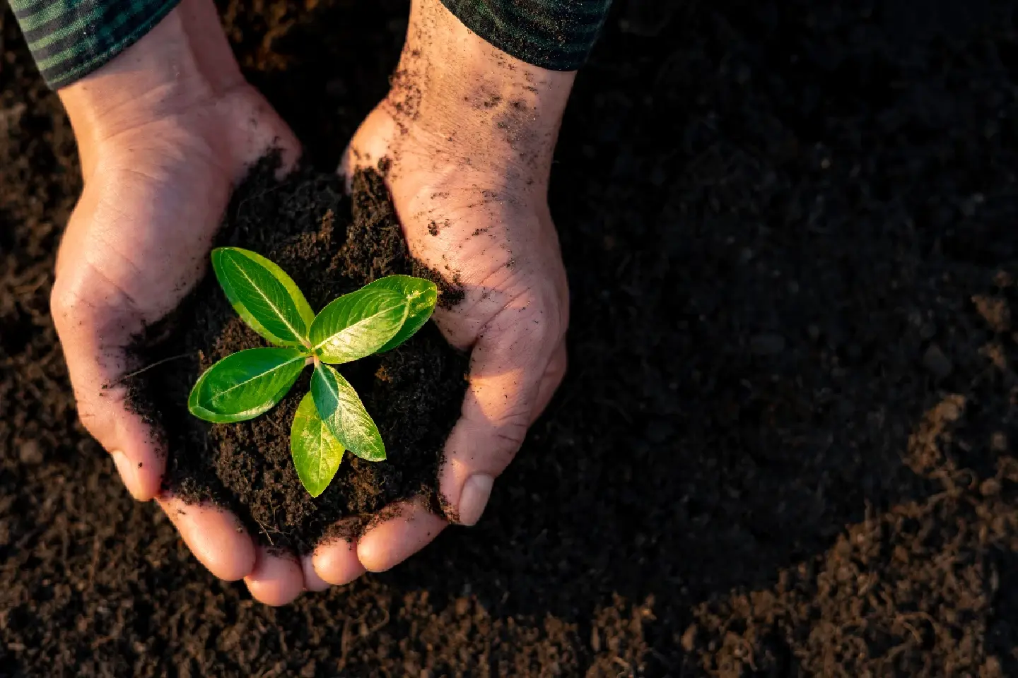 Climate change and business transformation through climate risk management Climate change and business transformation through climate risk management