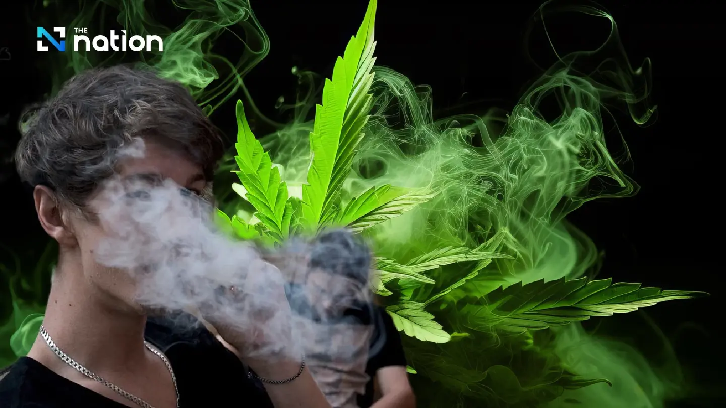TDRI: Cannabis laws should be revised to offset negative impacts TDRI: Cannabis laws should be revised to offset negative impacts