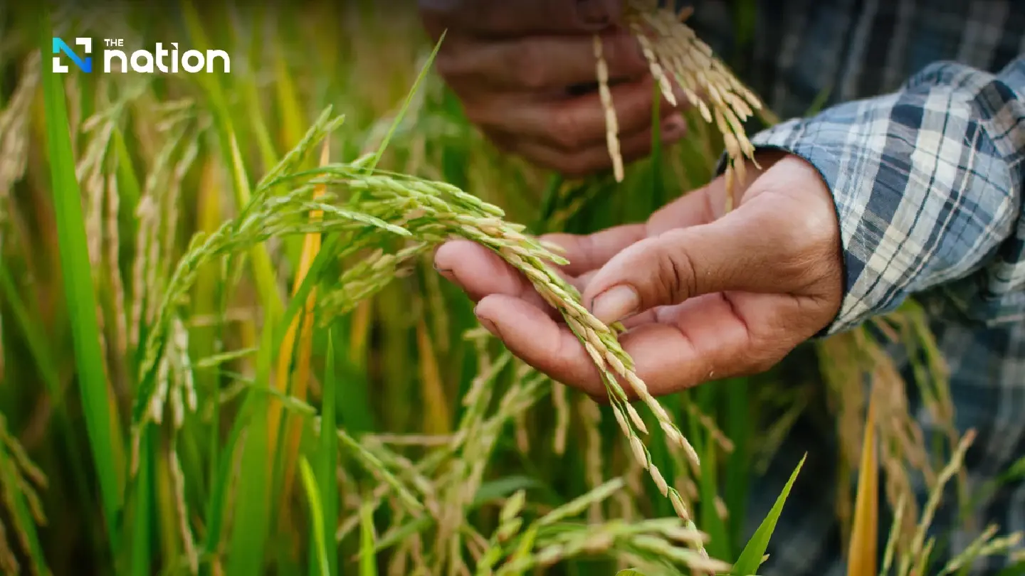 Italy drought, EU’s crackdown on labour rights offer Thailand new opportunities