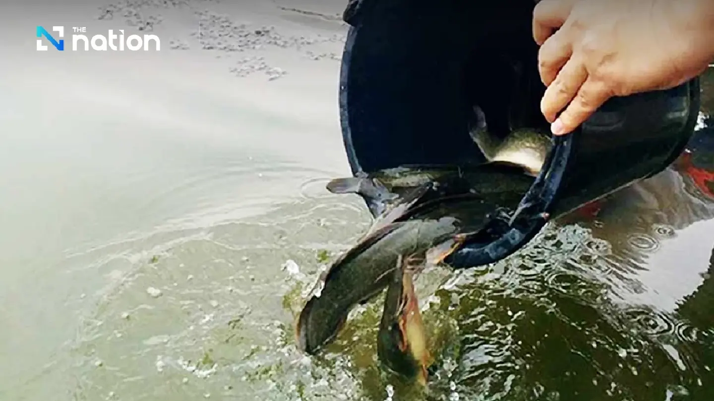 Fisheries Department calls releasing foreign species to mark Songkran a grave sin