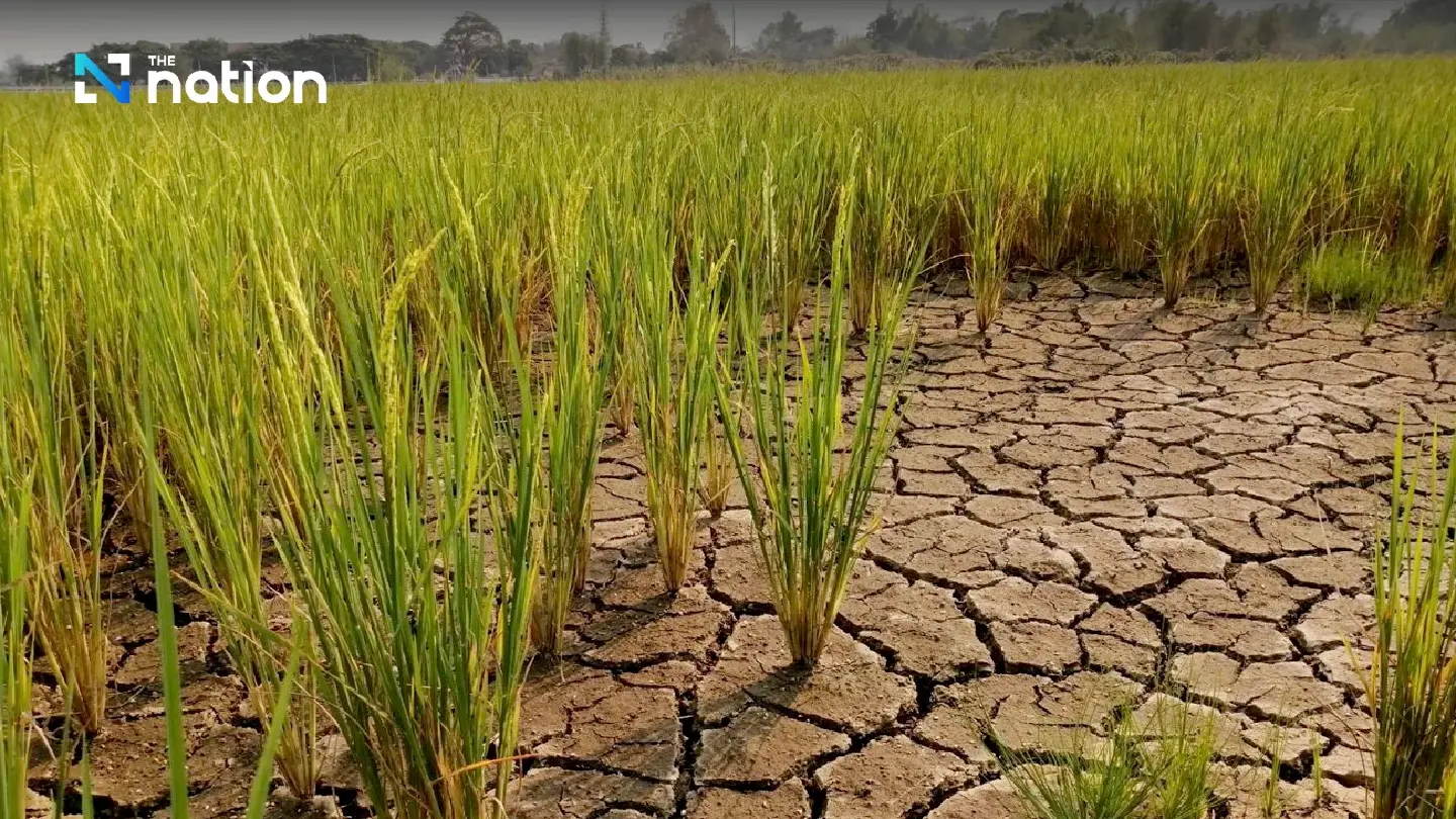 How sustainable agriculture can help Thailand cope with climate change How sustainable agriculture can help Thailand cope with climate change