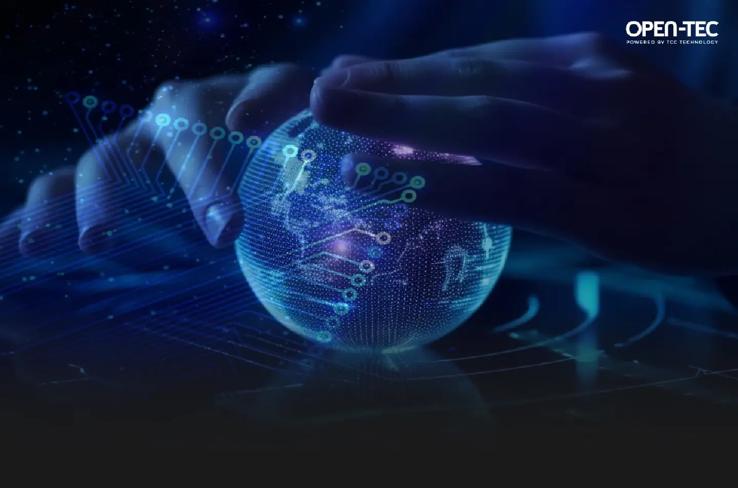 Digital Transformation in 2024 and Beyond -Insights from the C-Suite