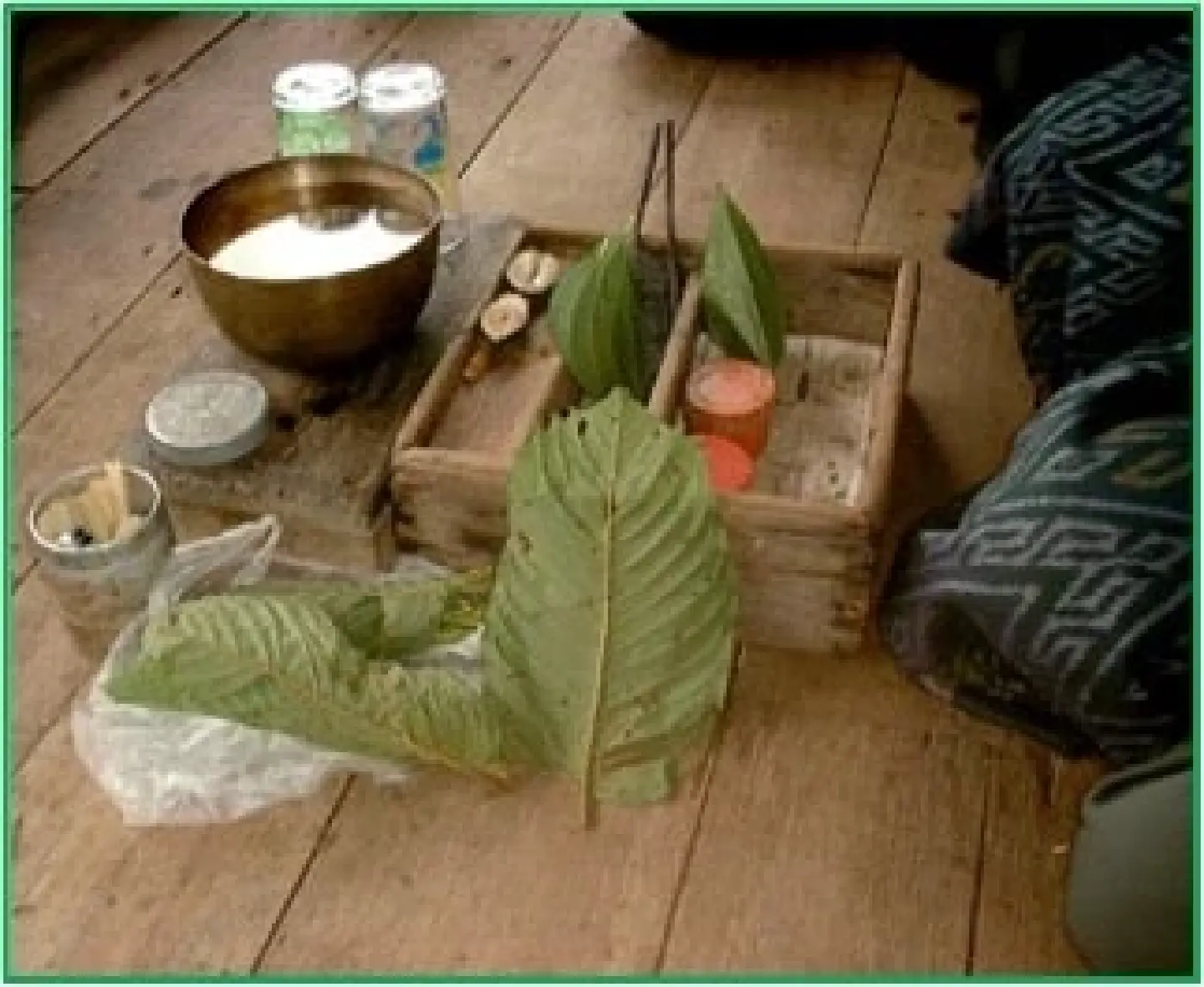 Chula research: Kratom's Pain Relief, Anti-Inflammatory, and Detox Benefits