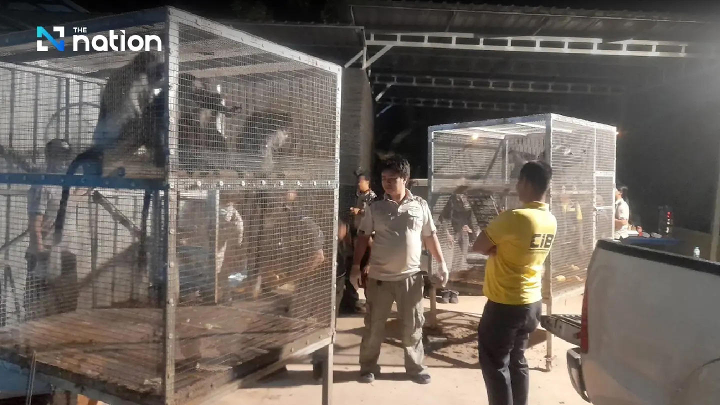 Prachinburi wildlife raid nets seventh suspect with menagerie Prachinburi wildlife raid nets seventh suspect with menagerie