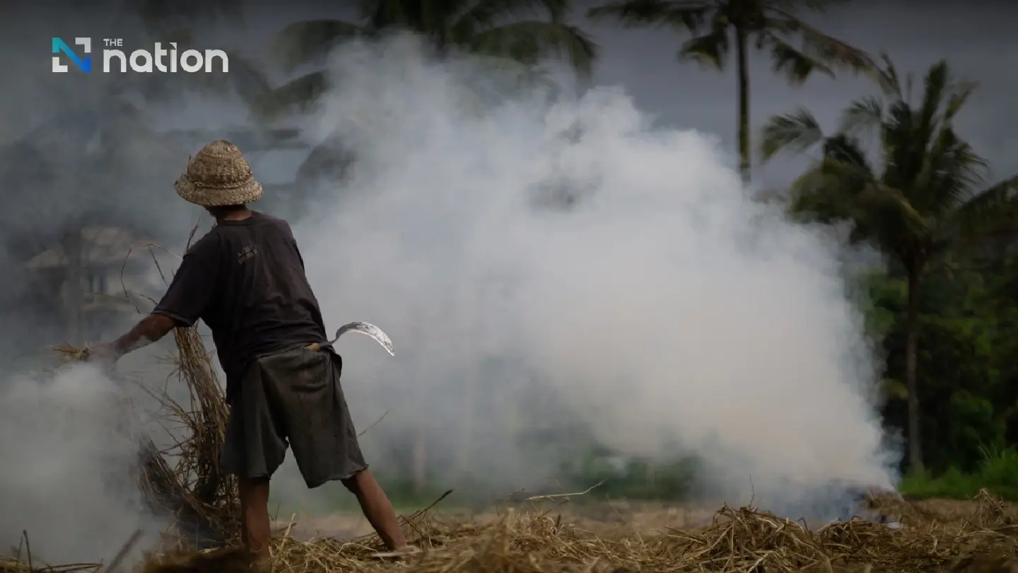 Experts call for incentives, mechanisation to tackle stubble burning