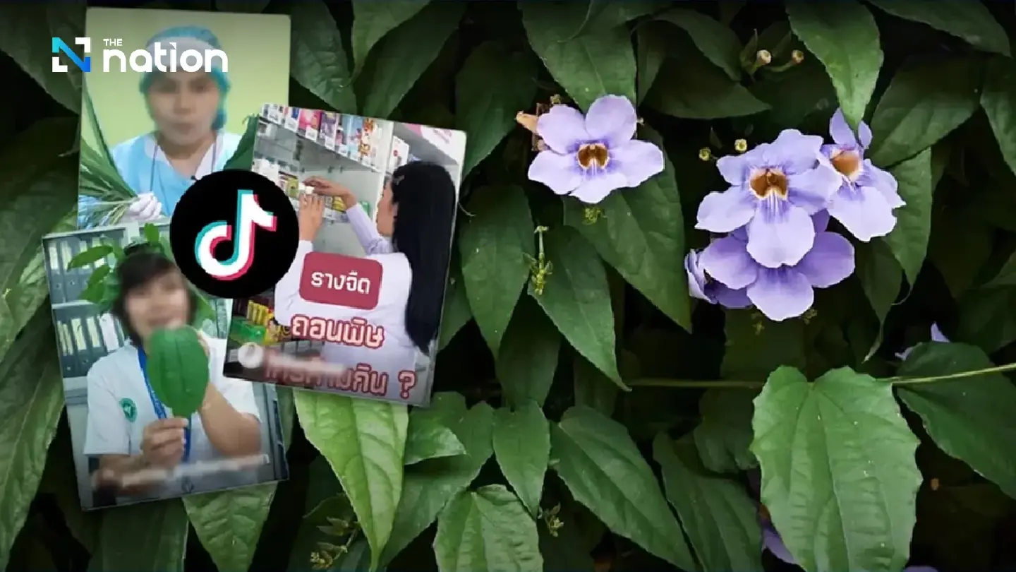 Rang Chuet among top OTOP products bought via TikTok Shop