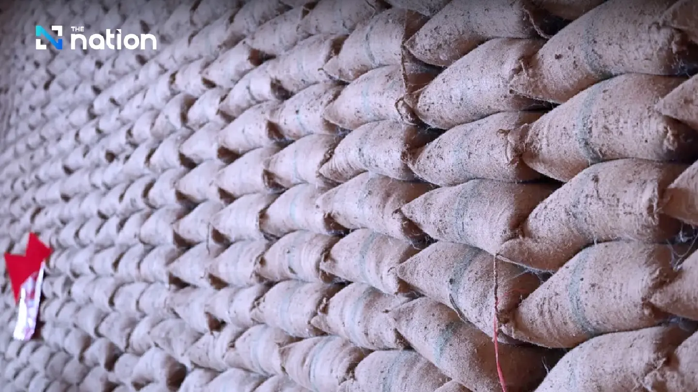 Phumtham proves 10-year-old rice edible, vows to auction it next week