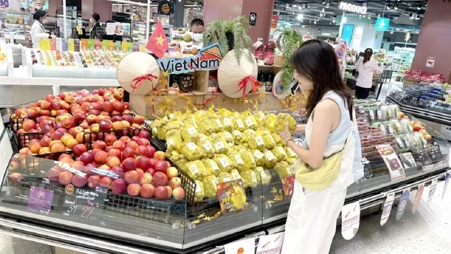 Ample room for Vietnam-Thailand cooperation in new economic sectors: official