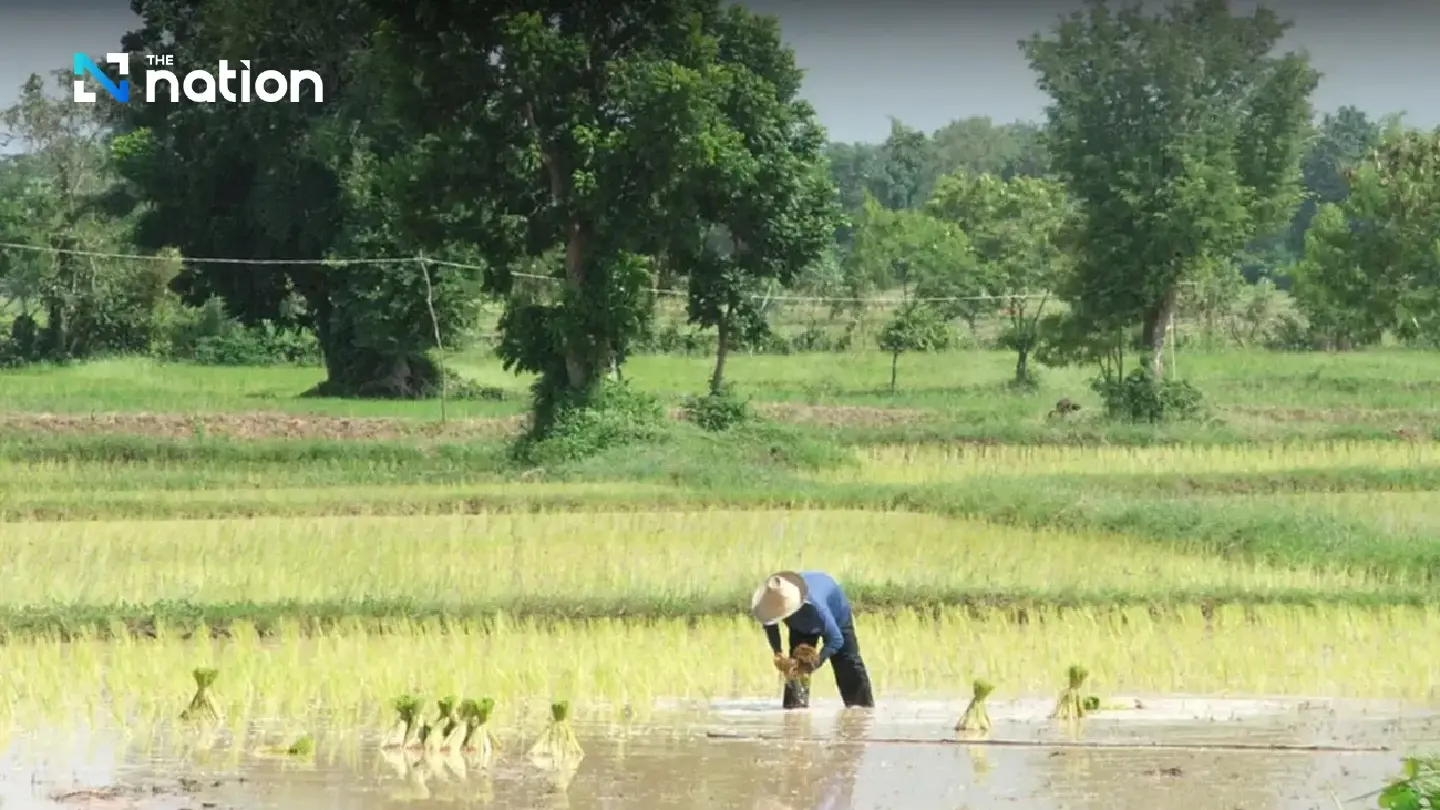 Misuse, illegal ownership of agricultural land to be tackled Misuse, illegal ownership of agricultural land to be tackled
