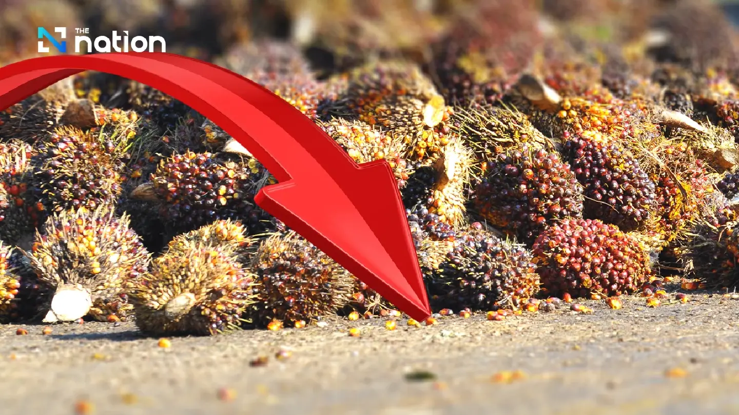 Oil extractors told to pay minimum THB4.50 per kg for palm fruit