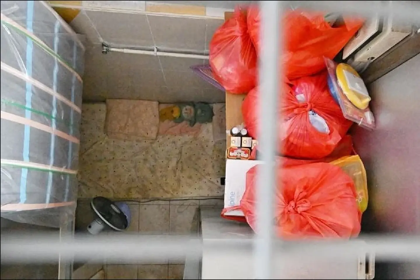 Why did 15-year-old living in a wet market stall in Singapore go unreported?