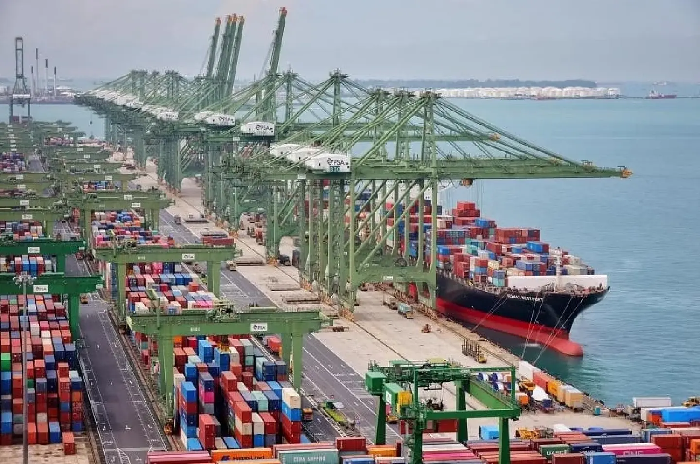 Singapore, other Asian economies see increased investments amid supply chain shifts Singapore, other Asian economies see increased investments amid supply chain shifts