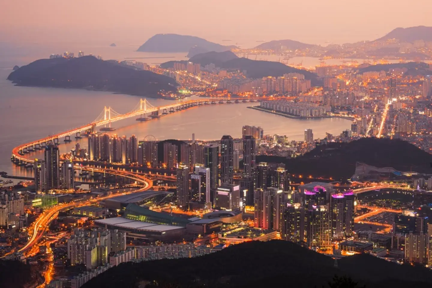 Busan seen entering phase of extinction: study Busan seen entering phase of extinction: study