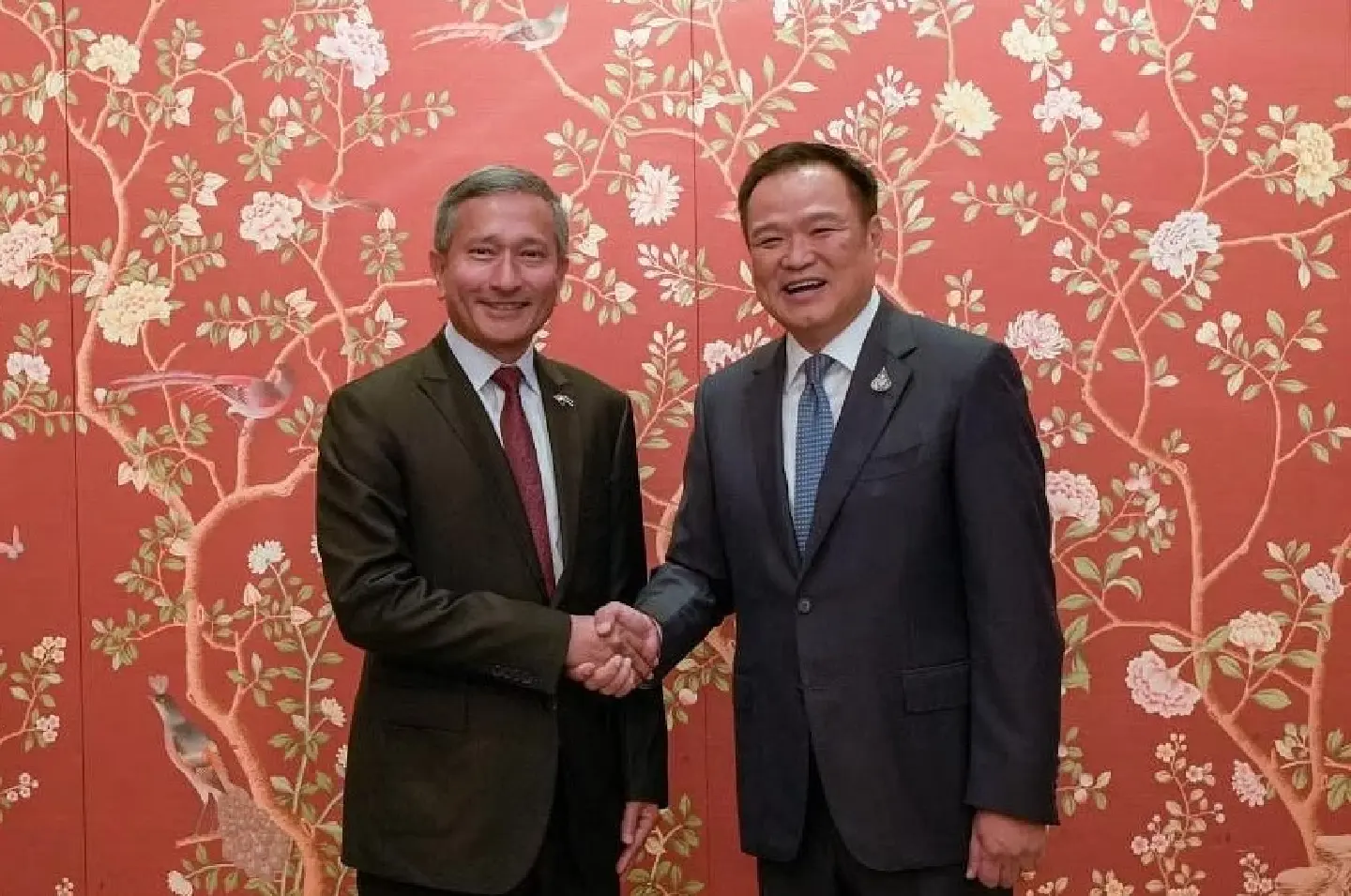 No substitute for ASEAN, even as Southeast Asia eyes BRICS: Vivian No substitute for ASEAN, even as Southeast Asia eyes BRICS: Vivian