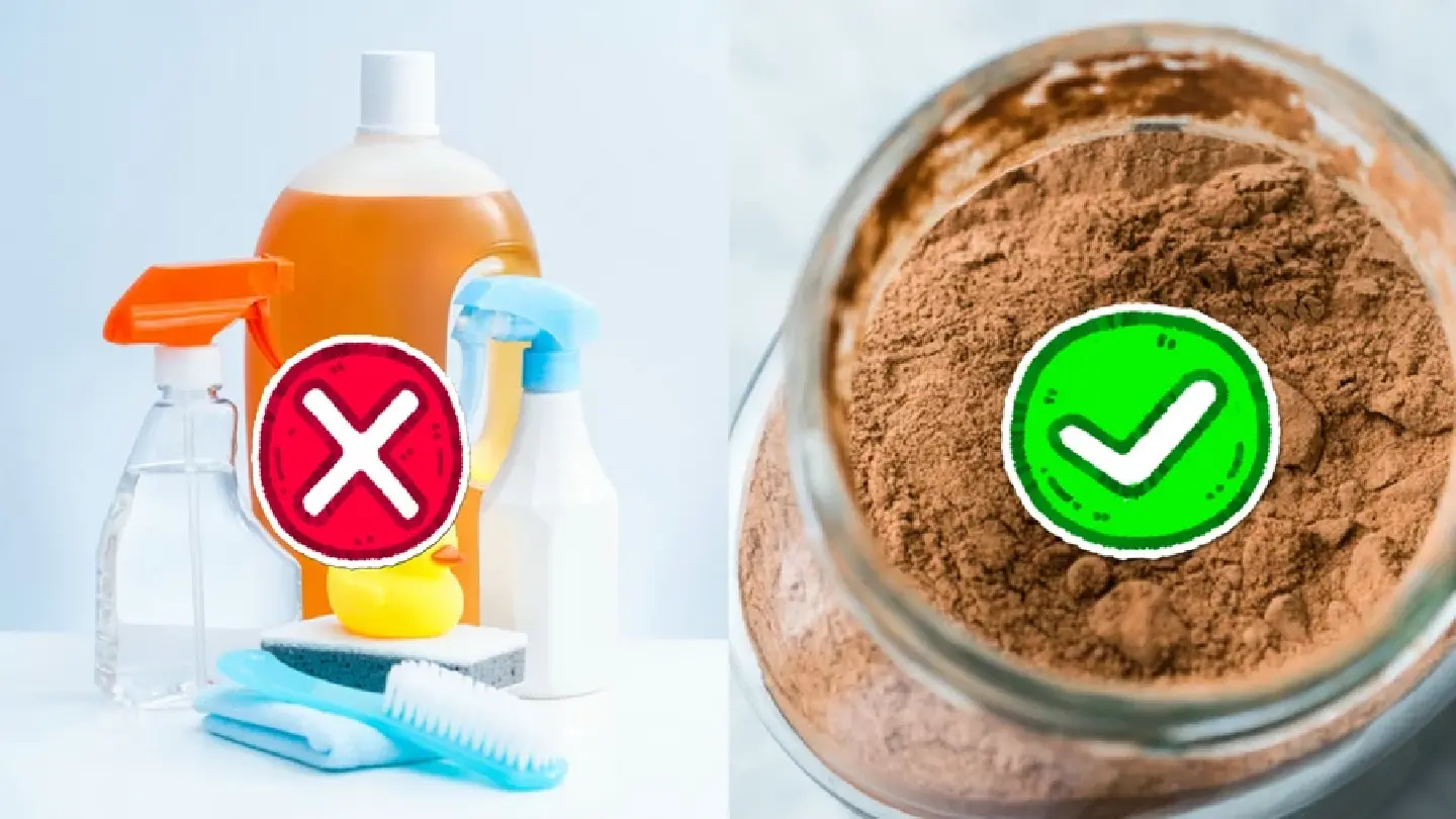 10 products to save your money and our planet 10 products to save your money and our planet