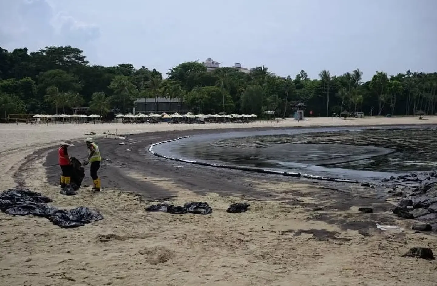 Cleanup after oil slicks hit Singapore's East Coast, Southern Islands Cleanup after oil slicks hit Singapore's East Coast, Southern Islands