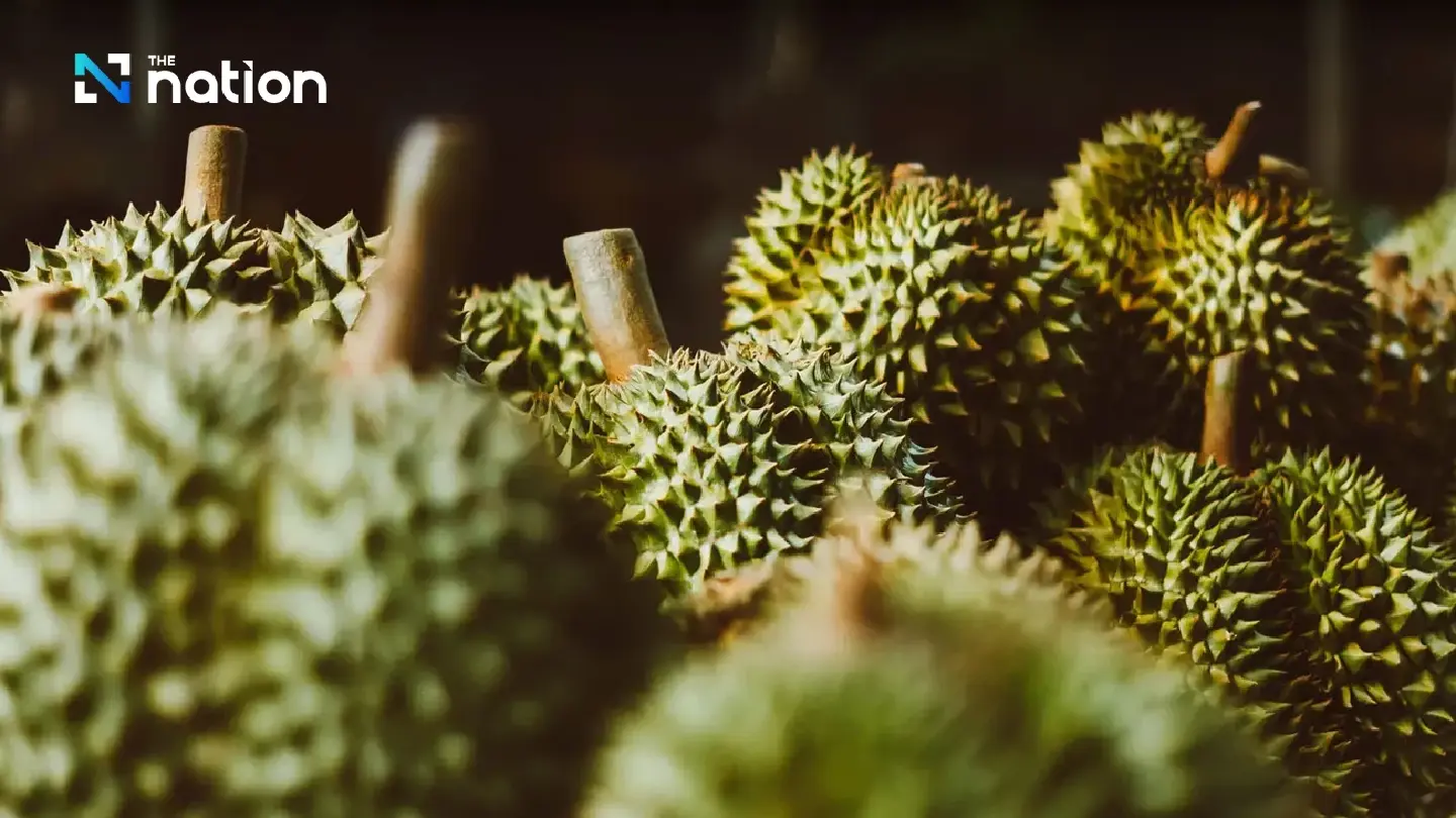 Thailand looks to boost durian trade Thailand looks to boost durian trade