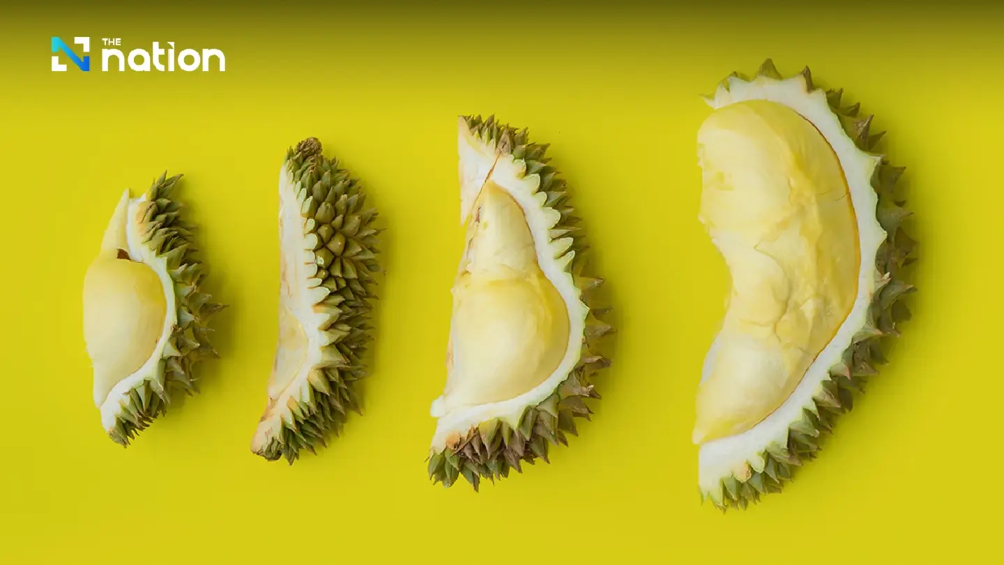 Durian and how it can be a delicious devil