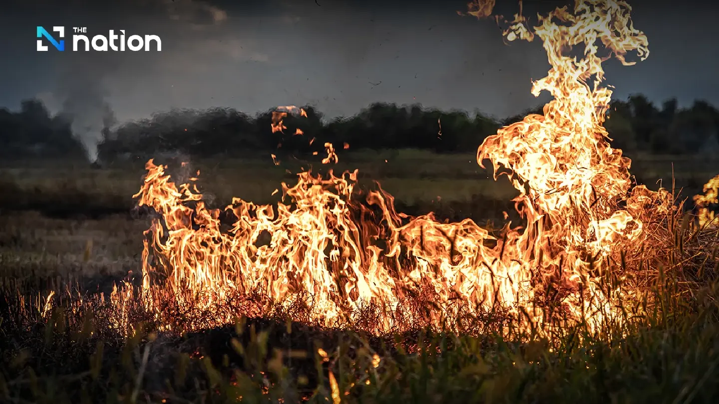 War on PM2.5: Farmers burning their fields to be denied subsidies