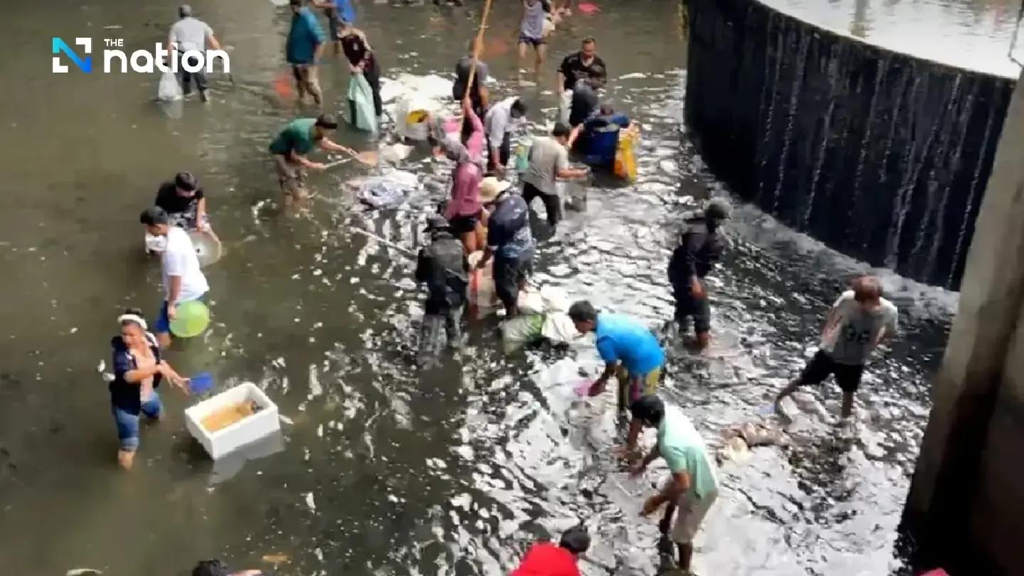 Alien invasion sparks feeding frenzy in Bangkok