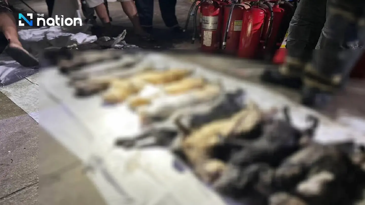 Blaze in Bangkok shophouse kills 21 cats