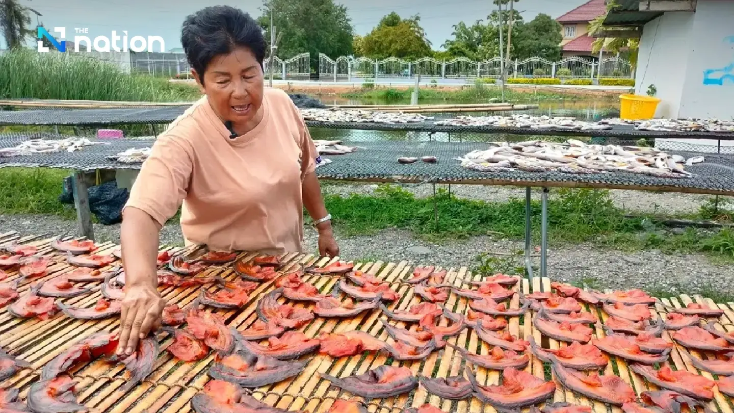 Samut Prakan dried fish vendor offers to buy blackchin tilapia Samut Prakan dried fish vendor offers to buy blackchin tilapia