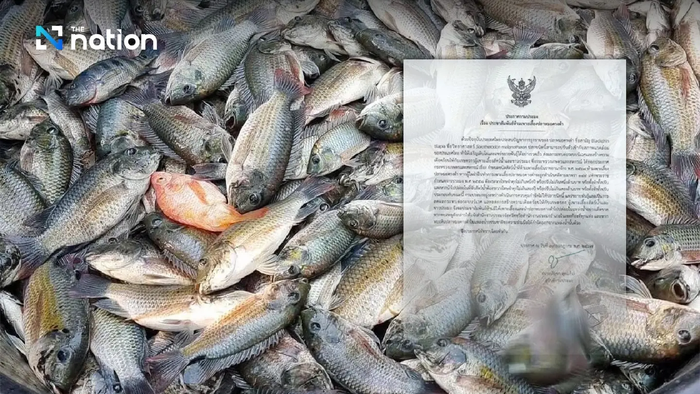 Locals warned of dangers posed to ecosystem by Black Chin Tilapia species