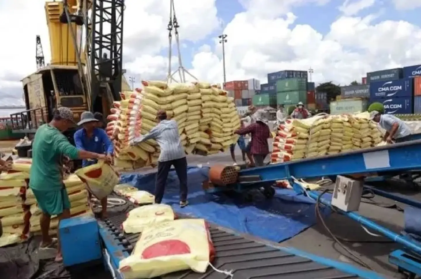 Philippines and Vietnam agree to establish rice industry alliance