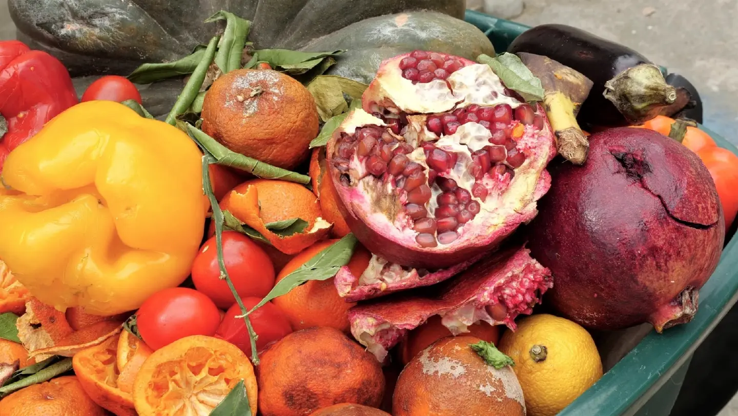 Solutions helped prevent 280 million kg of food waste worldwide in 2023 Solutions helped prevent 280 million kg of food waste worldwide in 2023