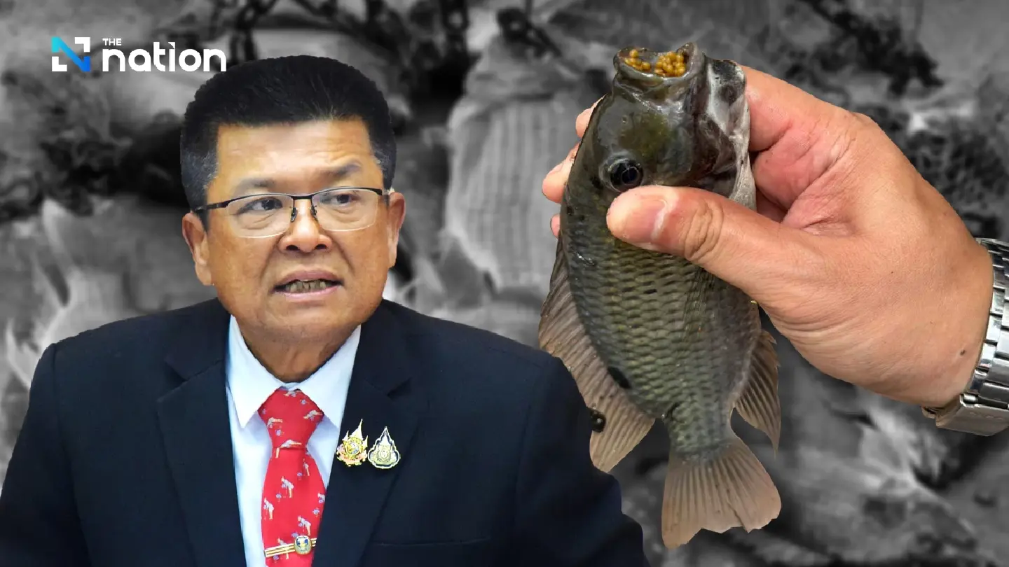 Blackchin tilapia roe cannot live without water for 2 months: Bancha