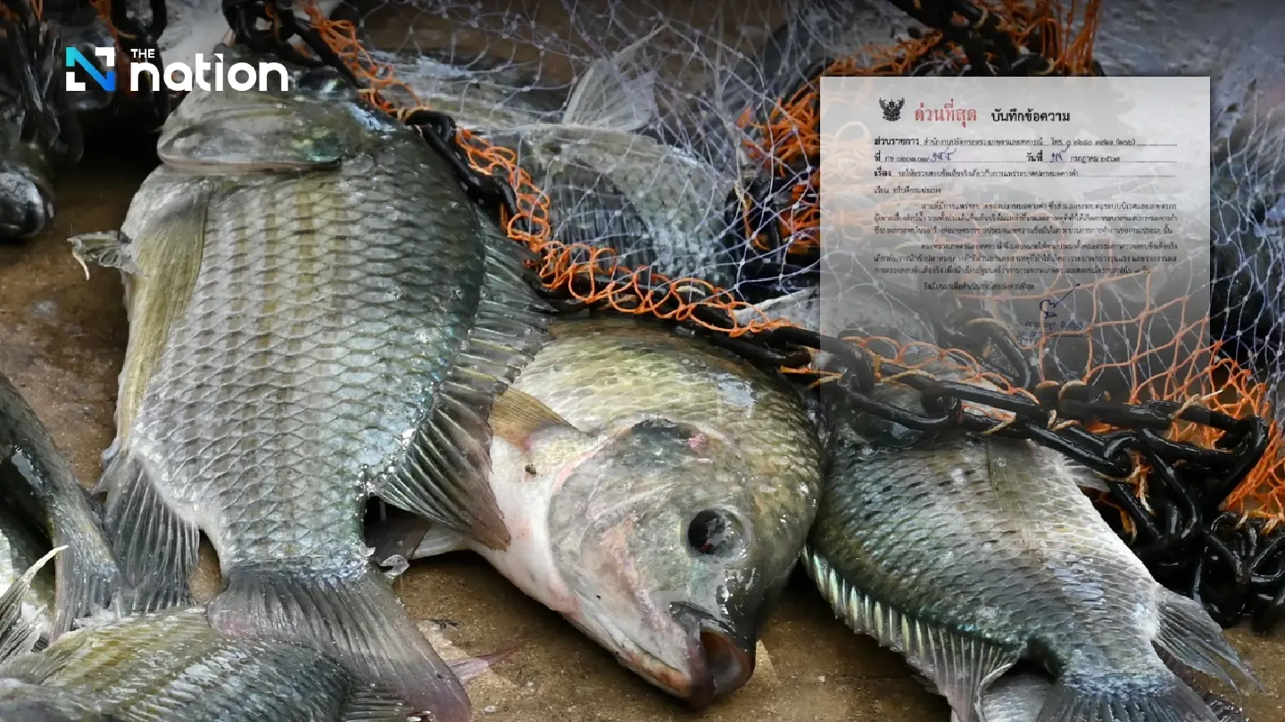 Probe on invasive fish outbreak to be concluded in 7 days