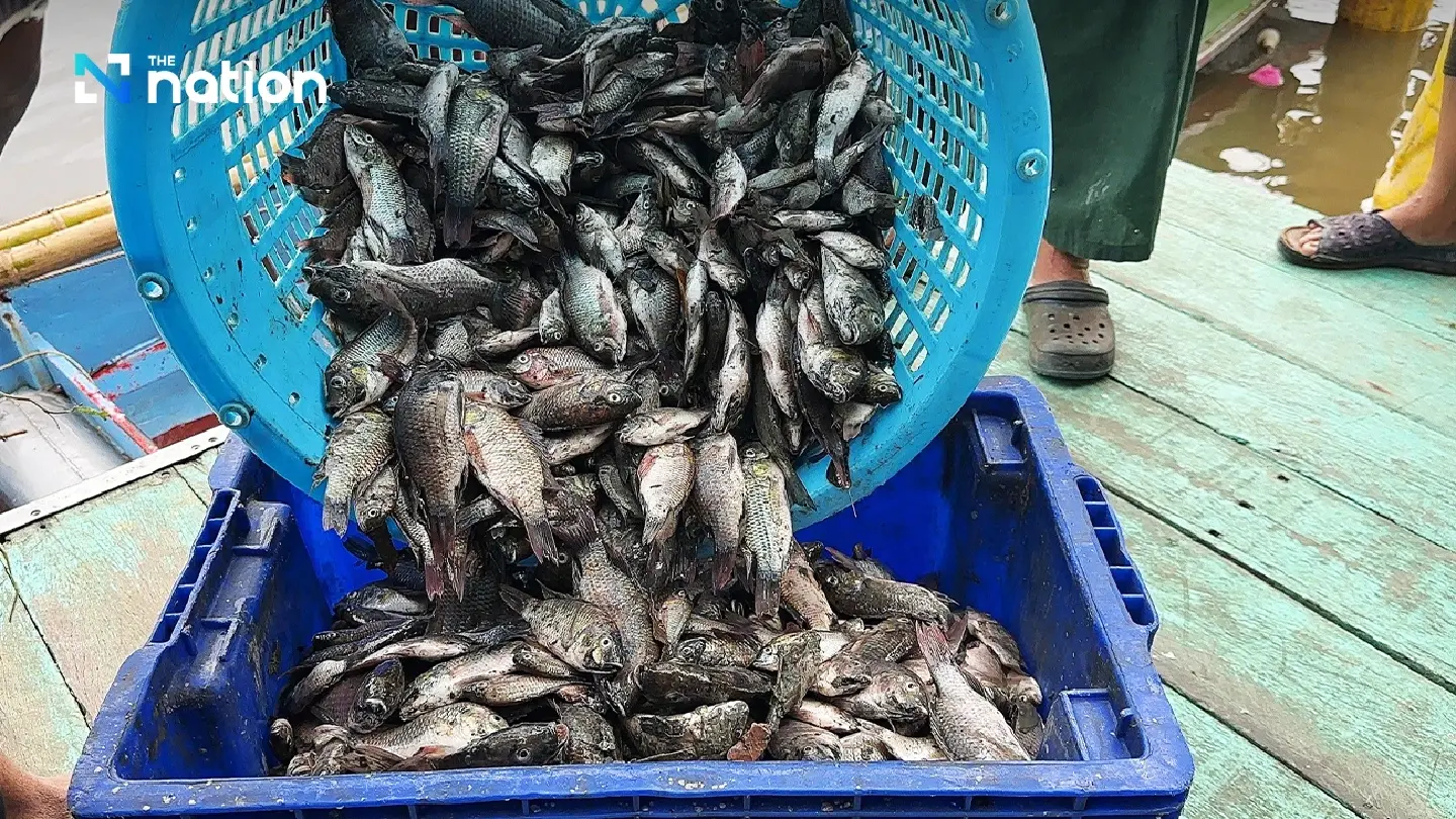 Govt’s purchase of alien blackchin tilapia to kick off August 1