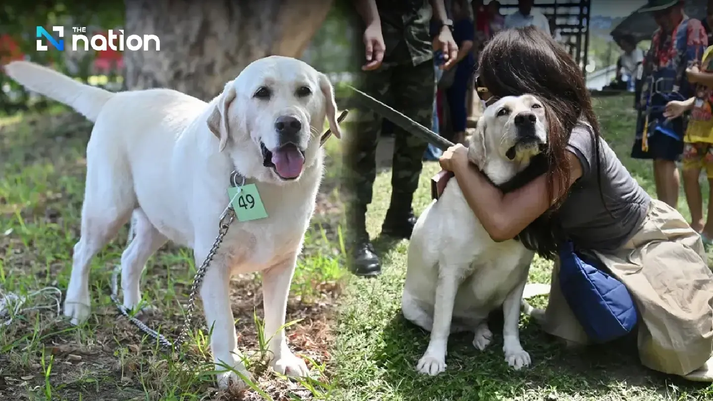Labrador retriever fetches 120,000 baht in auction by army