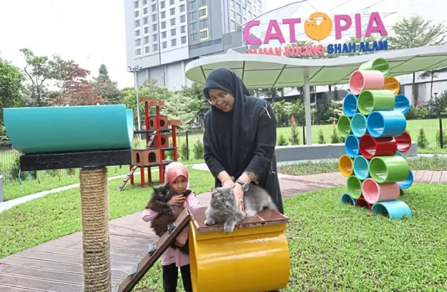 Purr-fect place for feline frolics in Malaysia